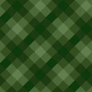 Paper + Design Tartan Green Luncheon Napkins